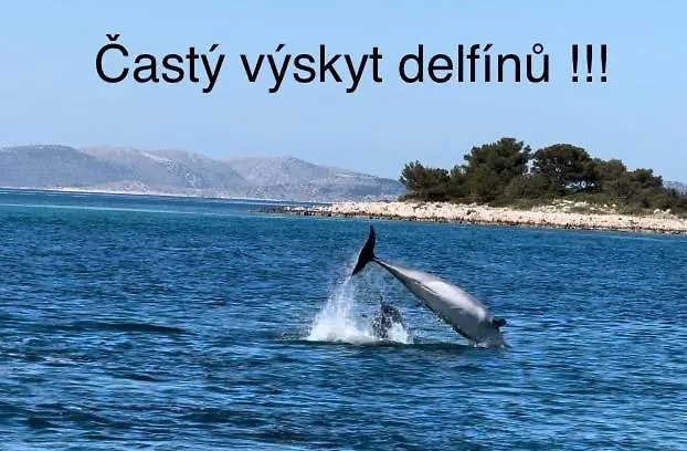 Апарт-отель ***